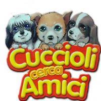 Cuccioli cerca amici