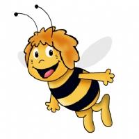 L'ape maia